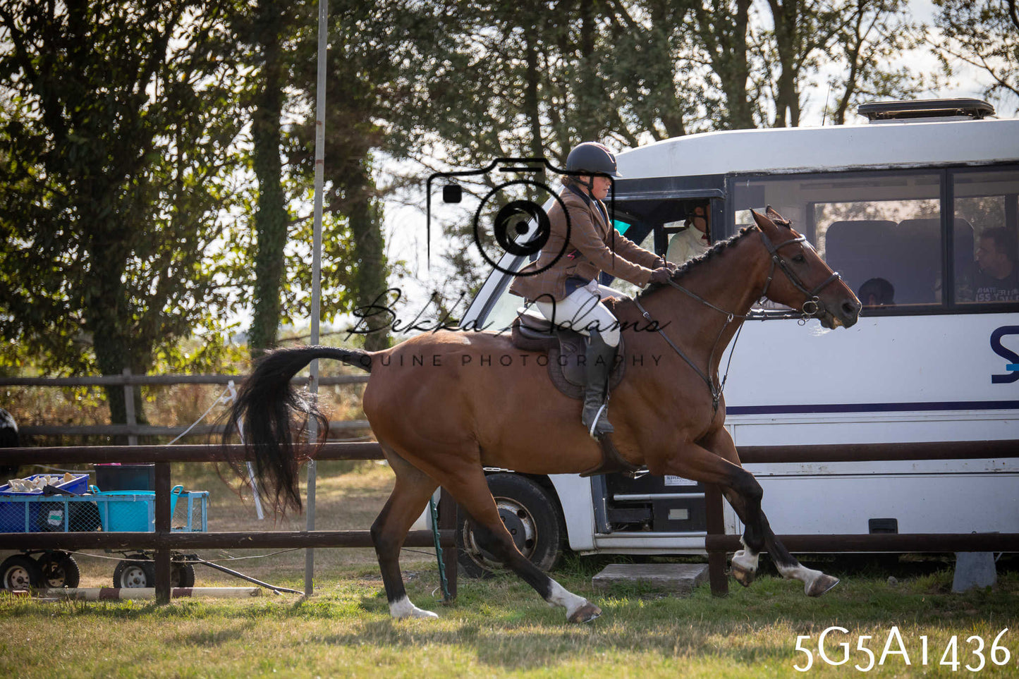 St Lawrence Charity Horse Show - Saturday pt3