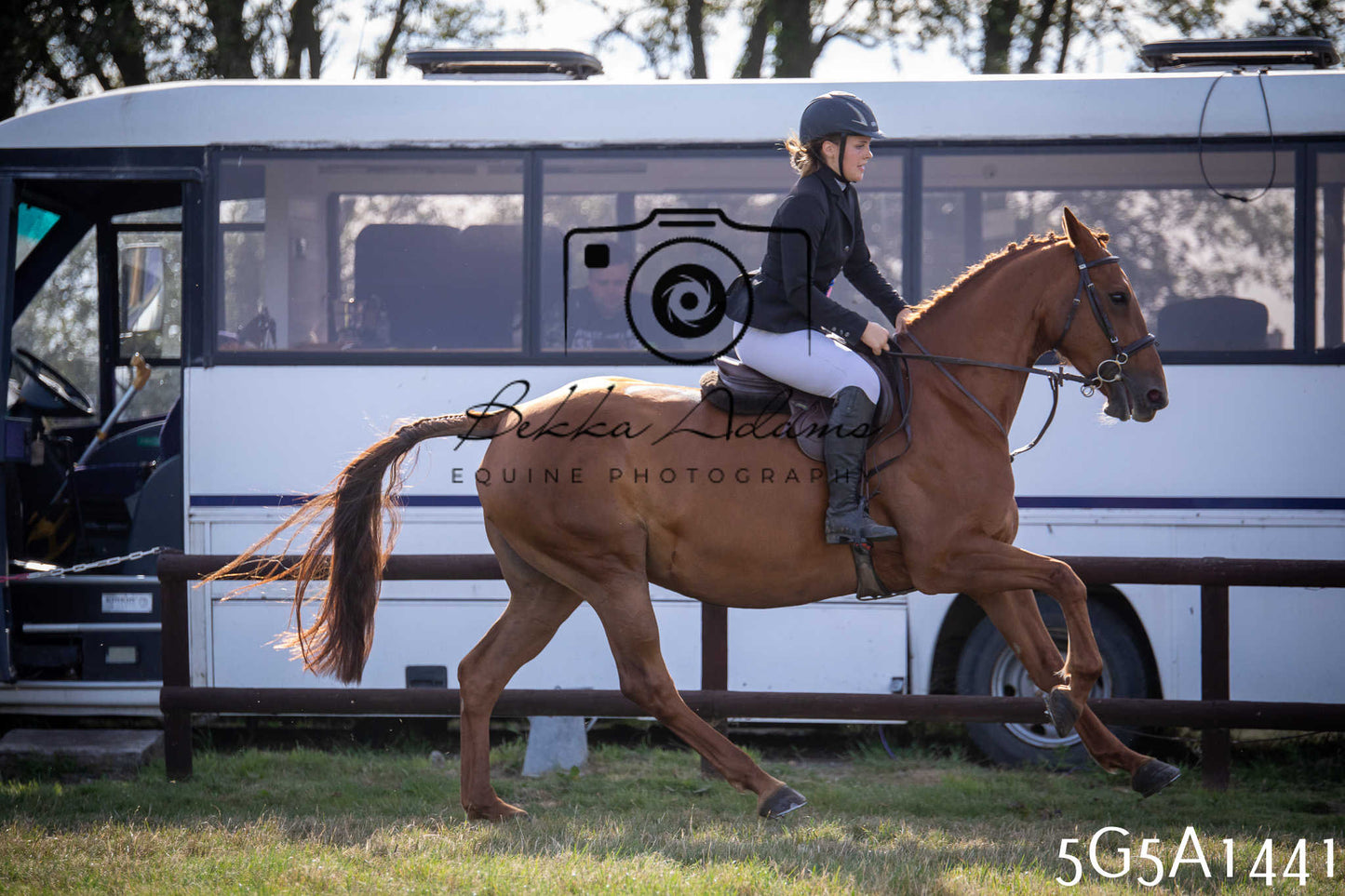 St Lawrence Charity Horse Show - Saturday pt3