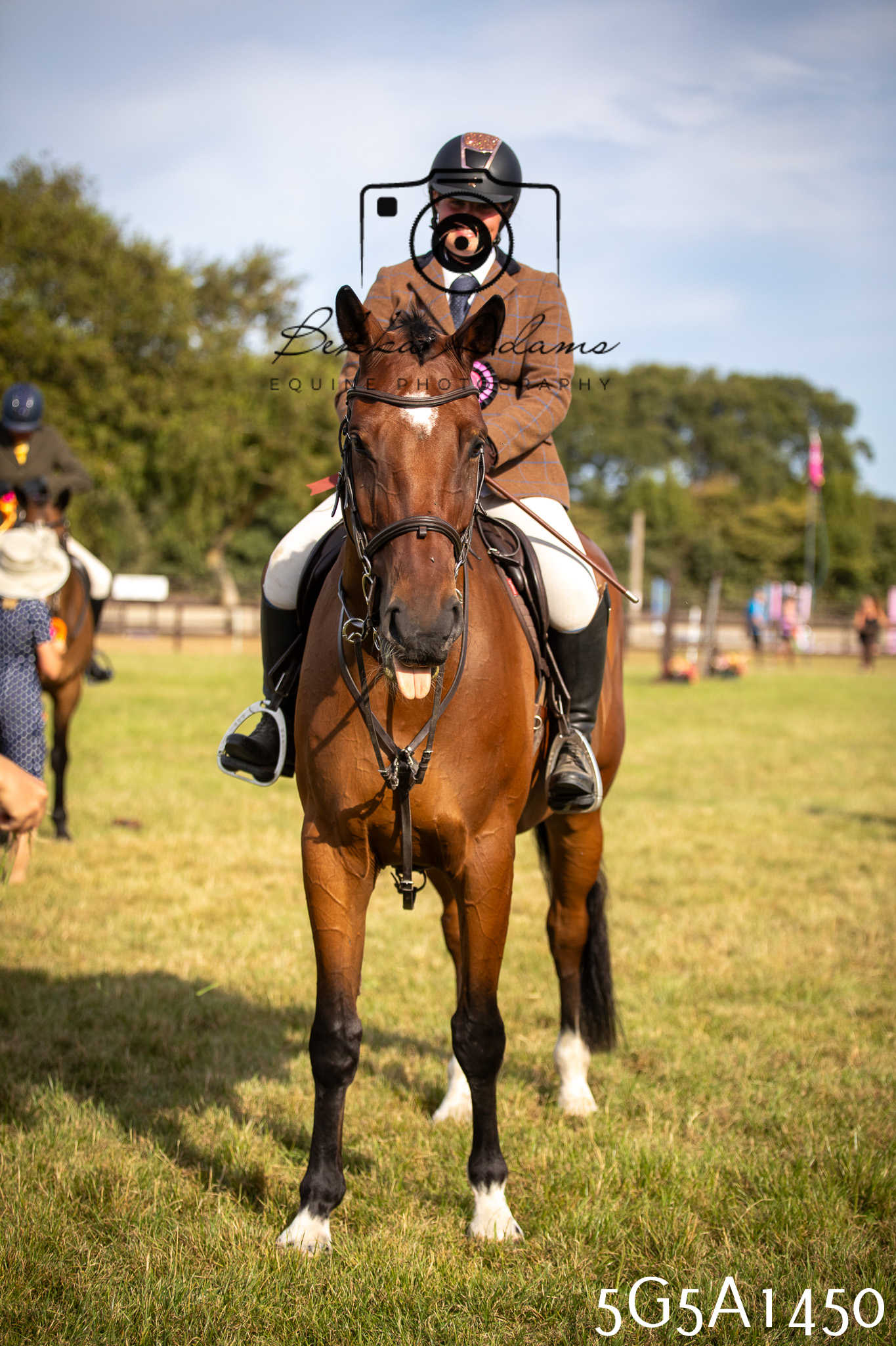 St Lawrence Charity Horse Show - Saturday pt3