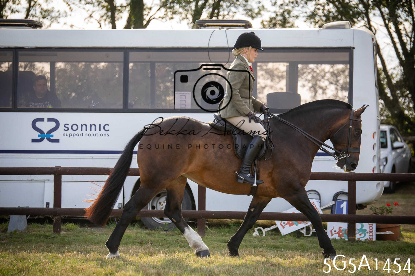 St Lawrence Charity Horse Show - Saturday pt3