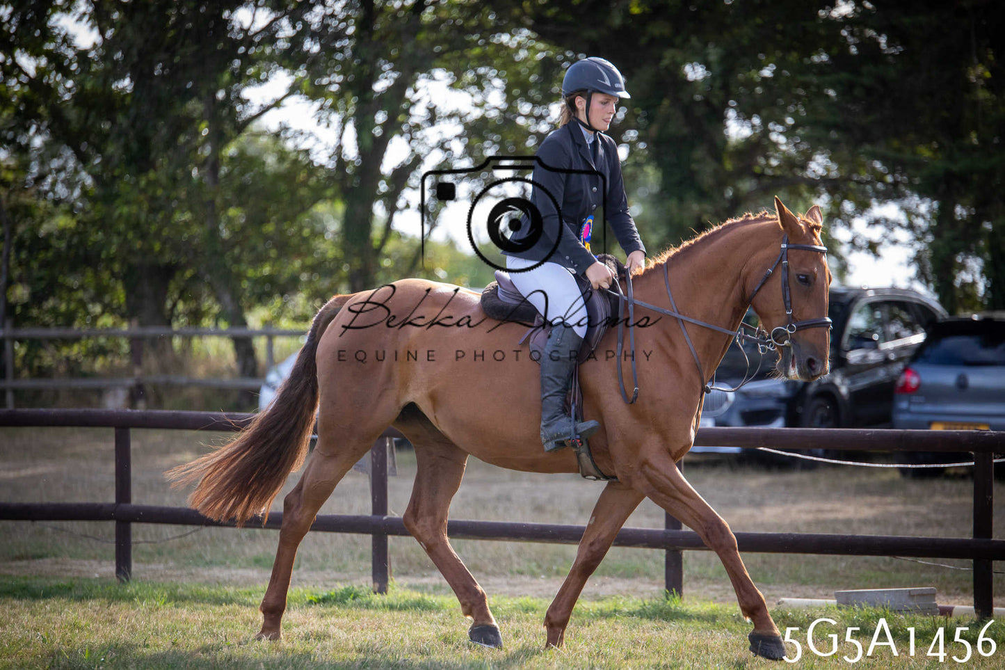 St Lawrence Charity Horse Show - Saturday pt3