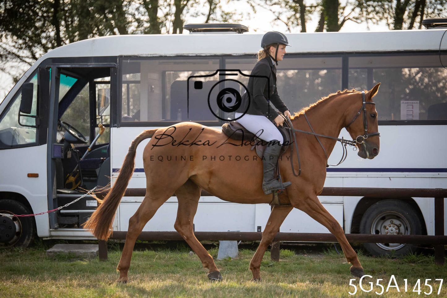 St Lawrence Charity Horse Show - Saturday pt3