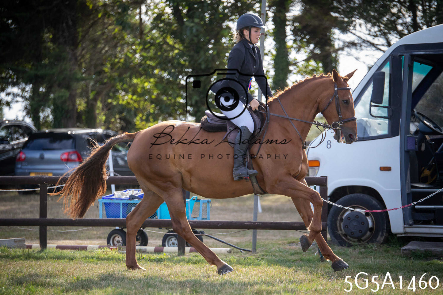 St Lawrence Charity Horse Show - Saturday pt3