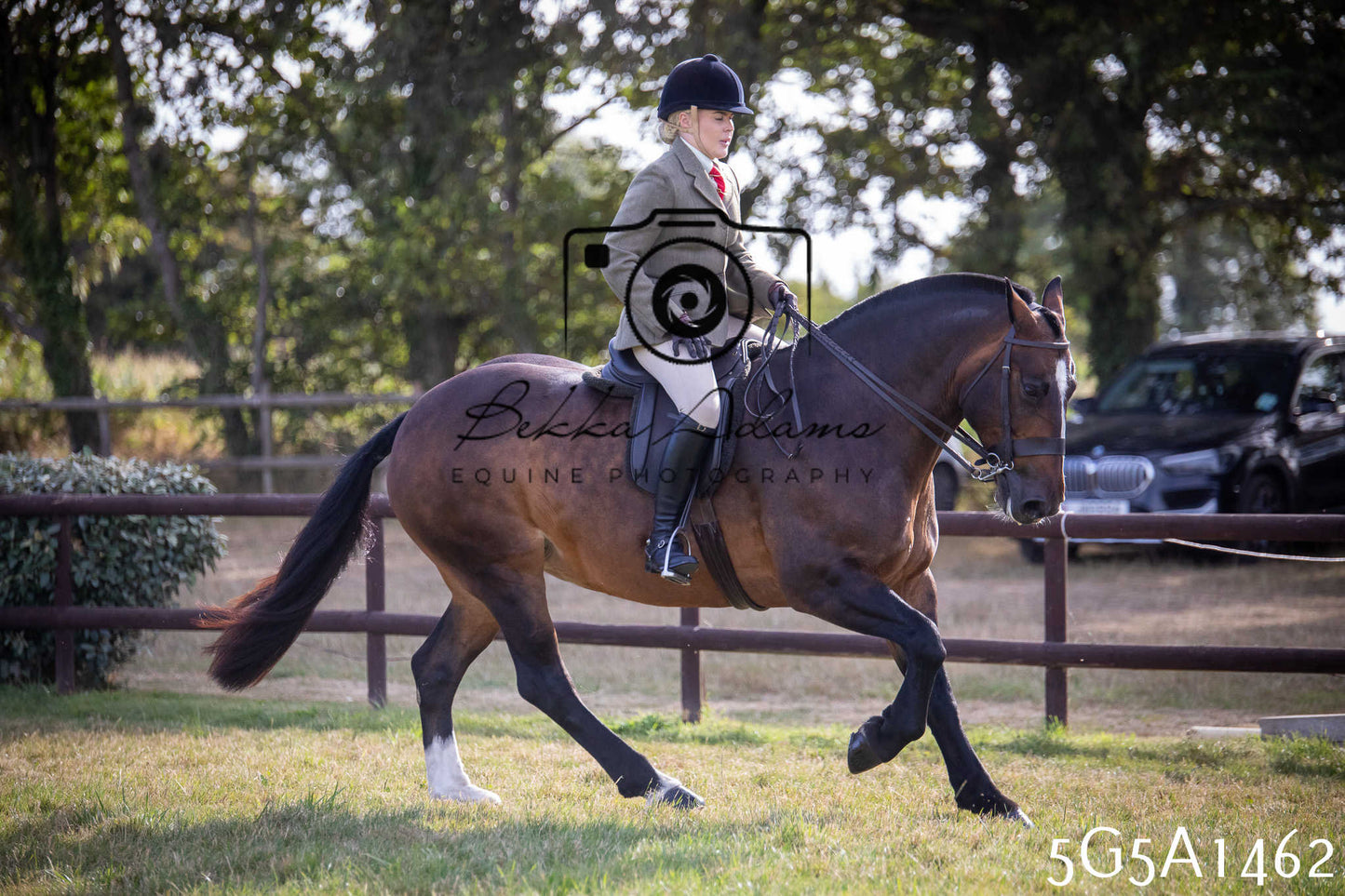 St Lawrence Charity Horse Show - Saturday pt3