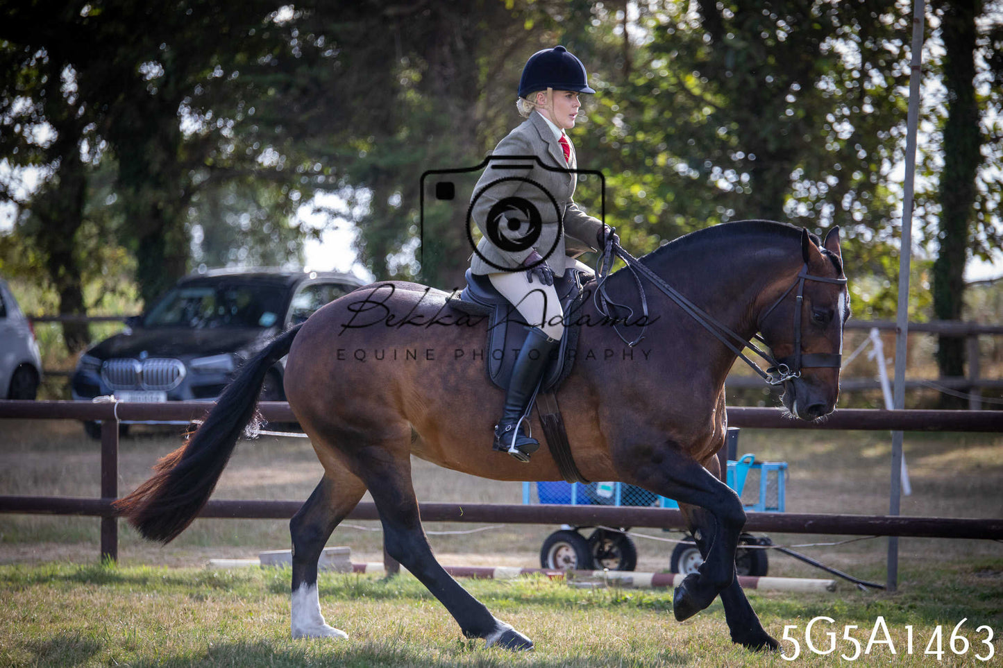 St Lawrence Charity Horse Show - Saturday pt3