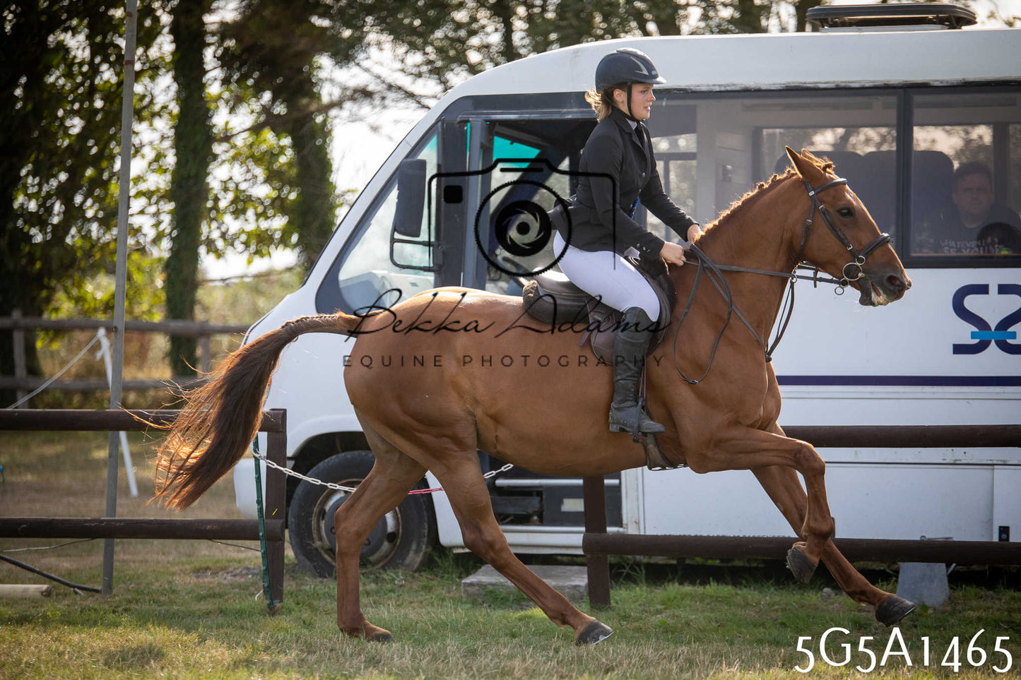 St Lawrence Charity Horse Show - Saturday pt3