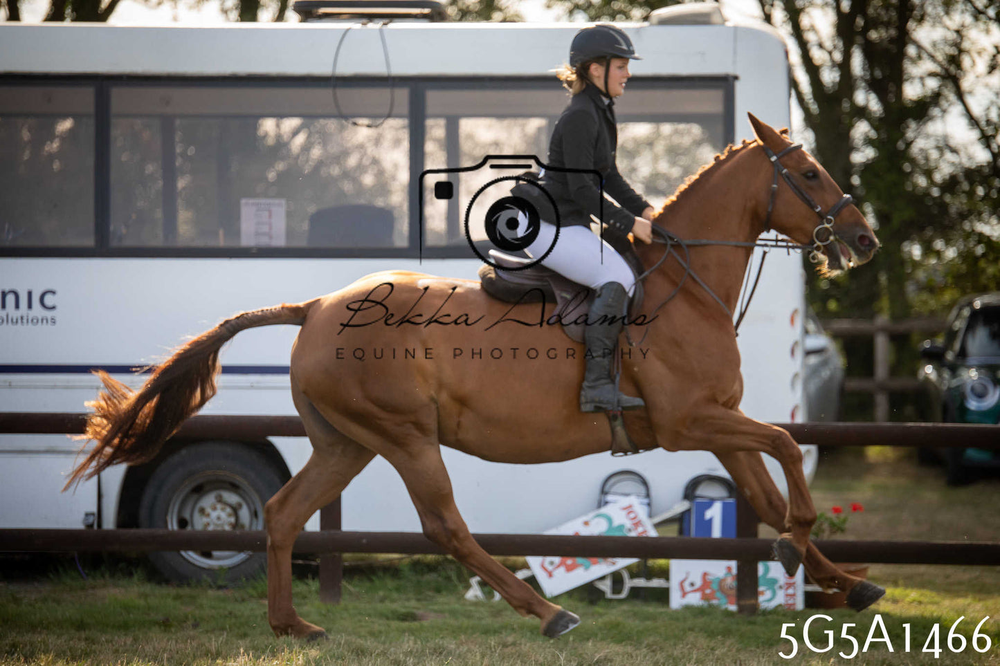 St Lawrence Charity Horse Show - Saturday pt3