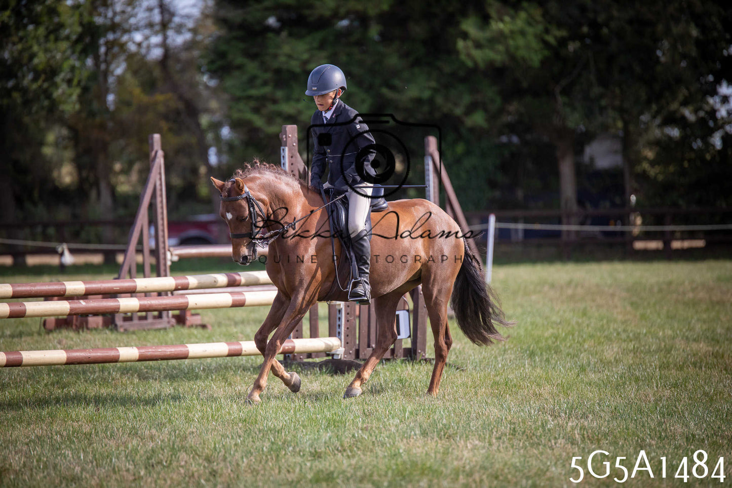 St Lawrence Charity Horse Show - Saturday pt3