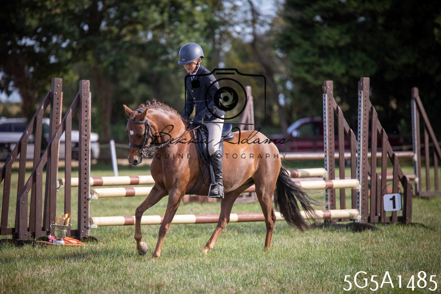 St Lawrence Charity Horse Show - Saturday pt3