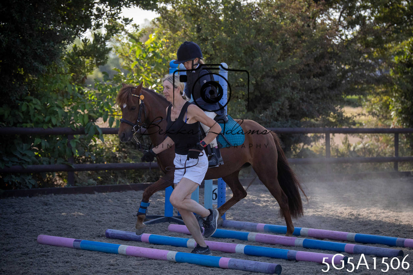 St Lawrence Charity Horse Show - Sunday pt1