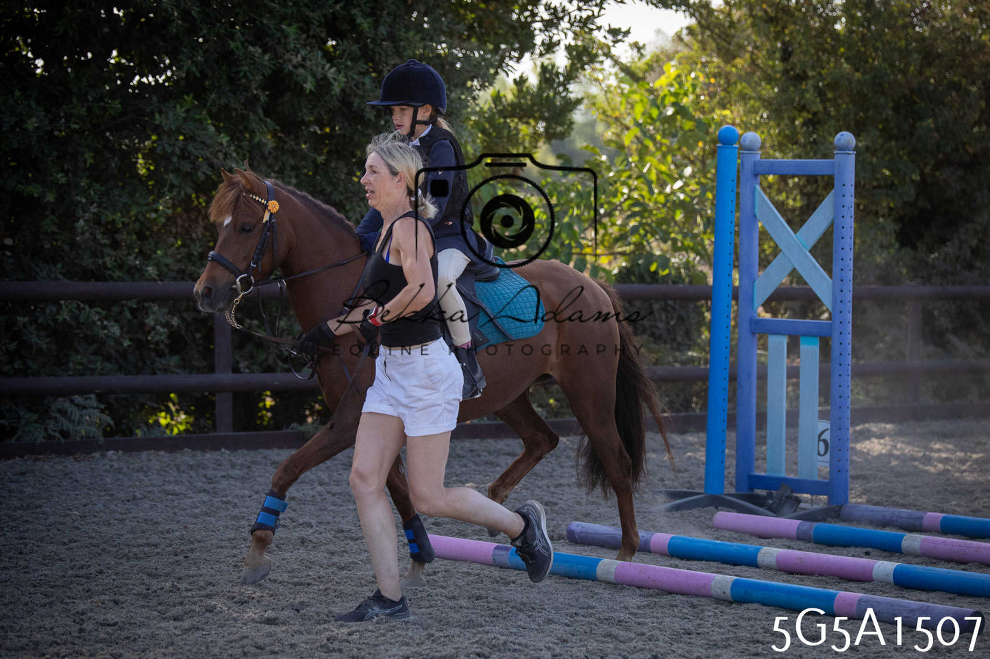 St Lawrence Charity Horse Show - Sunday pt1