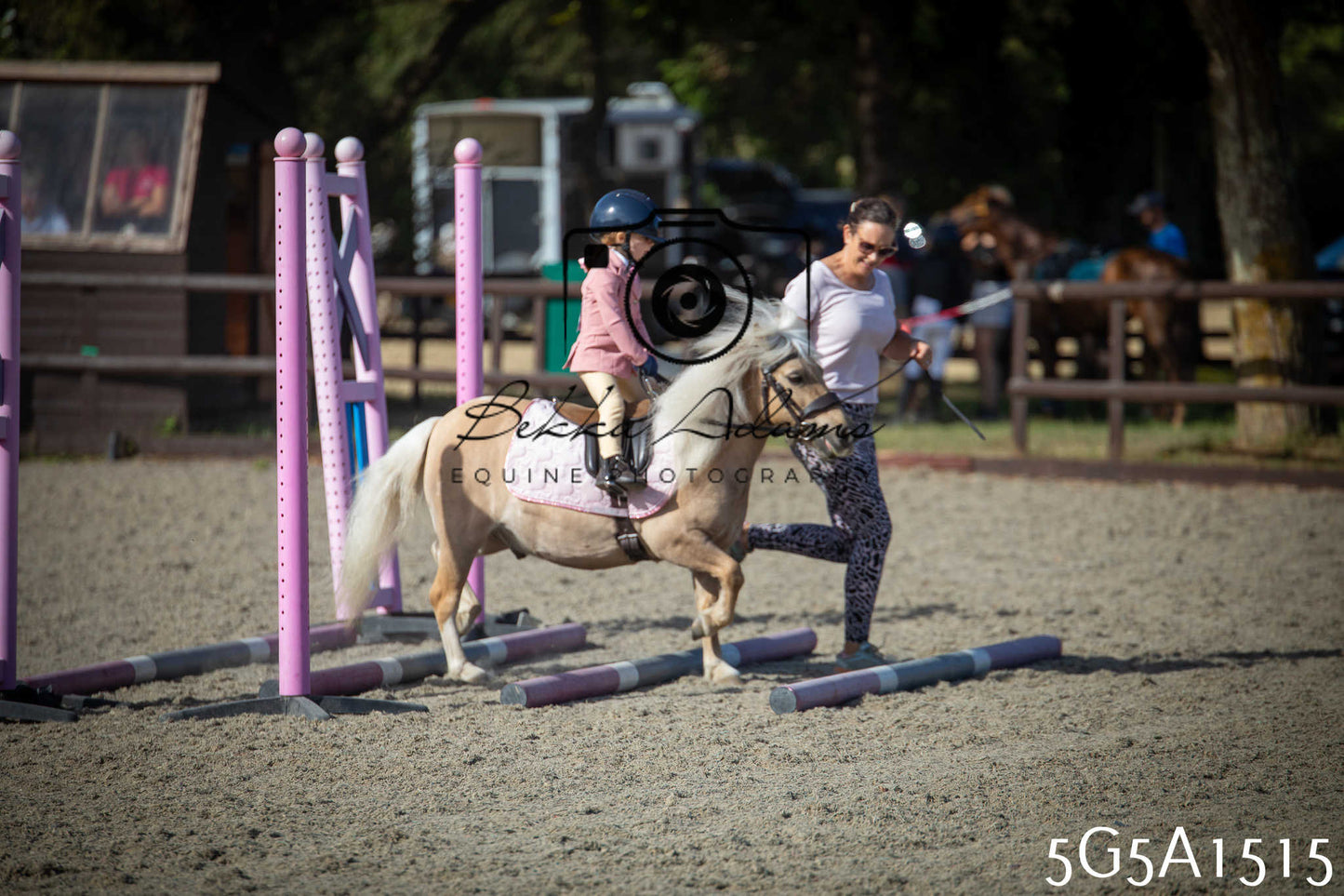 St Lawrence Charity Horse Show - Sunday pt1