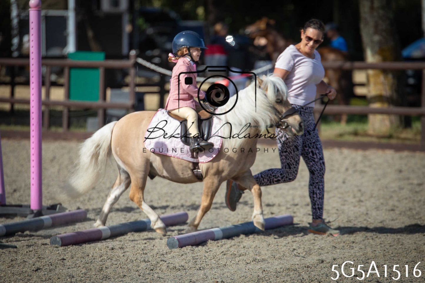 St Lawrence Charity Horse Show - Sunday pt1