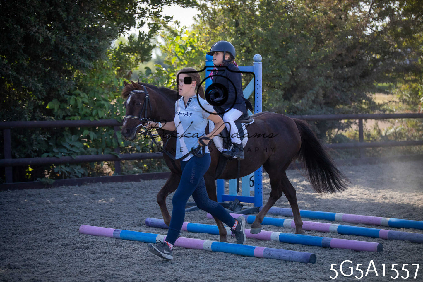 St Lawrence Charity Horse Show - Sunday pt1