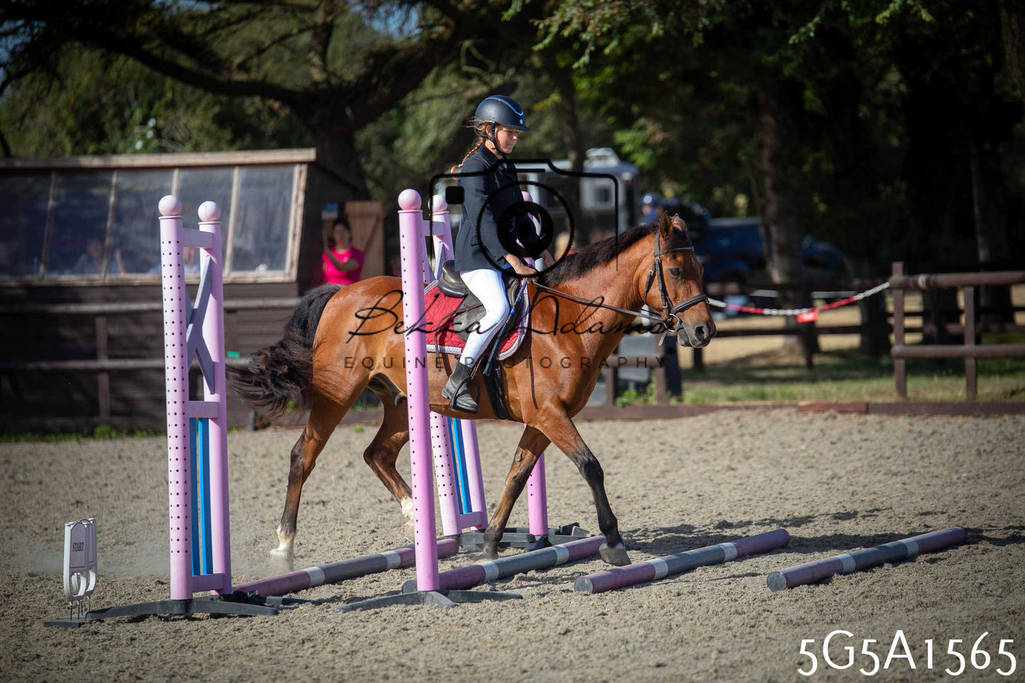 St Lawrence Charity Horse Show - Sunday pt1