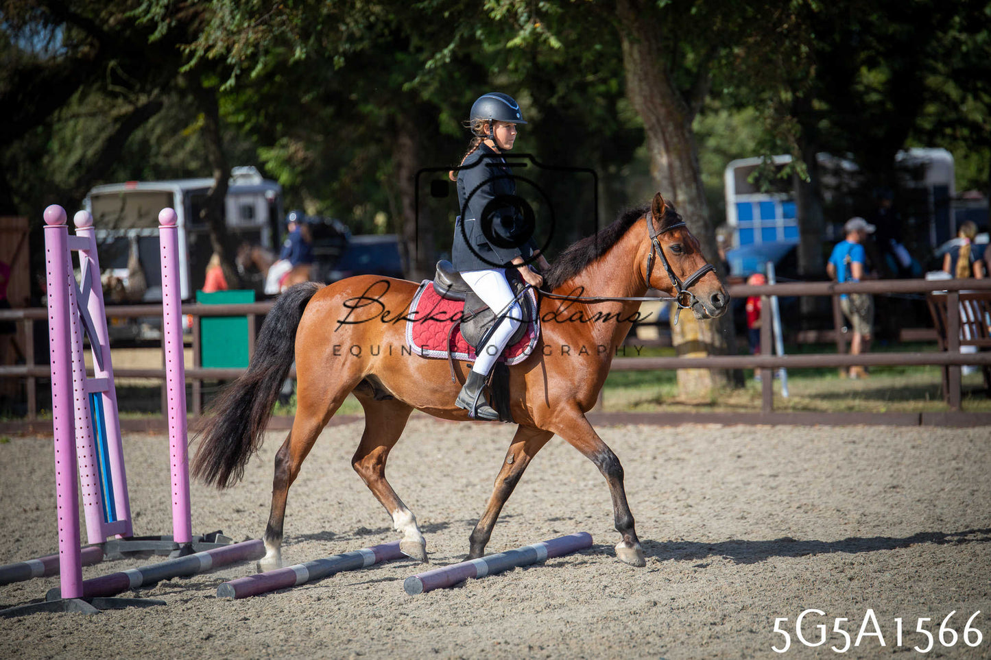 St Lawrence Charity Horse Show - Sunday pt1