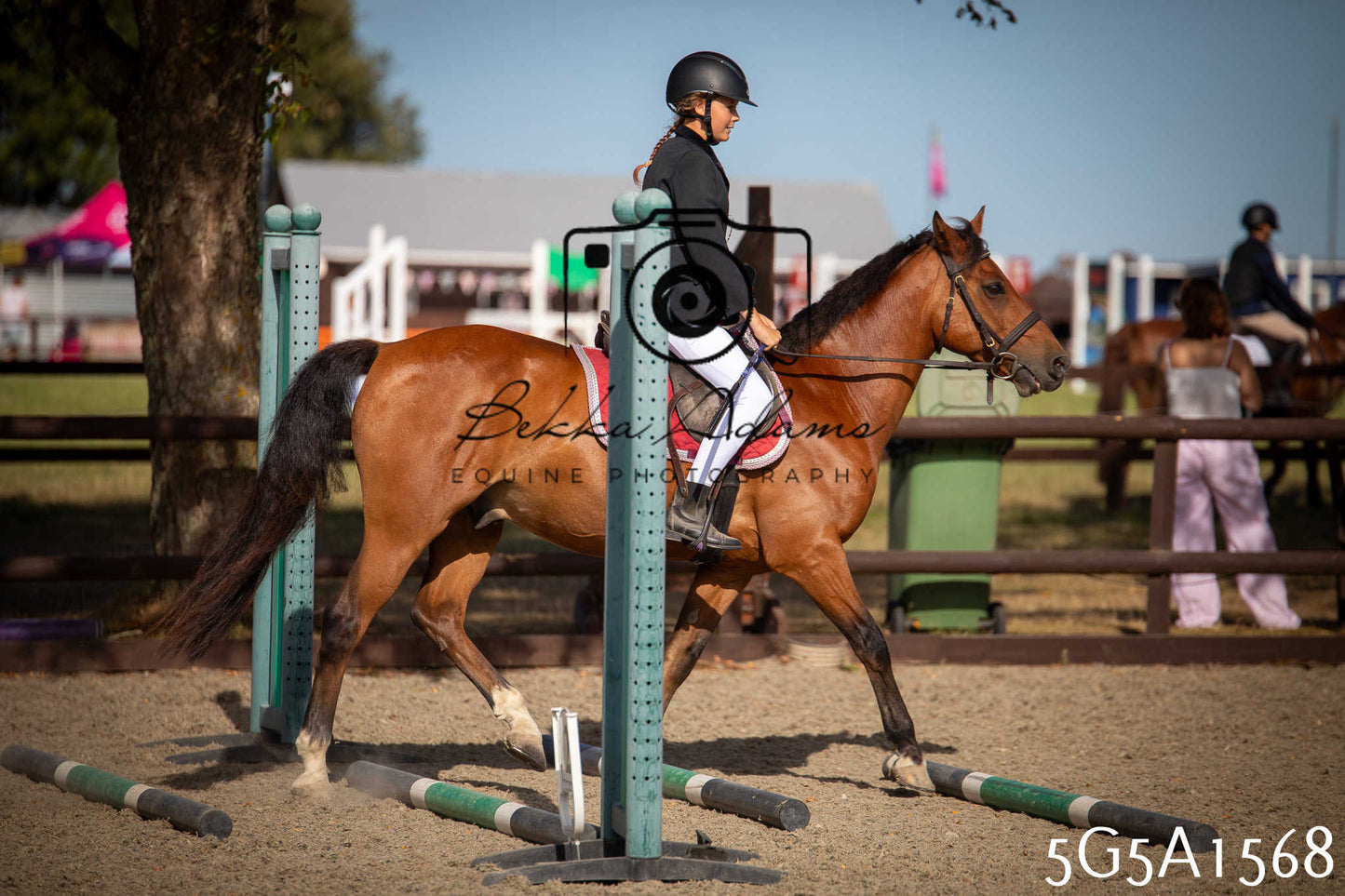 St Lawrence Charity Horse Show - Sunday pt1