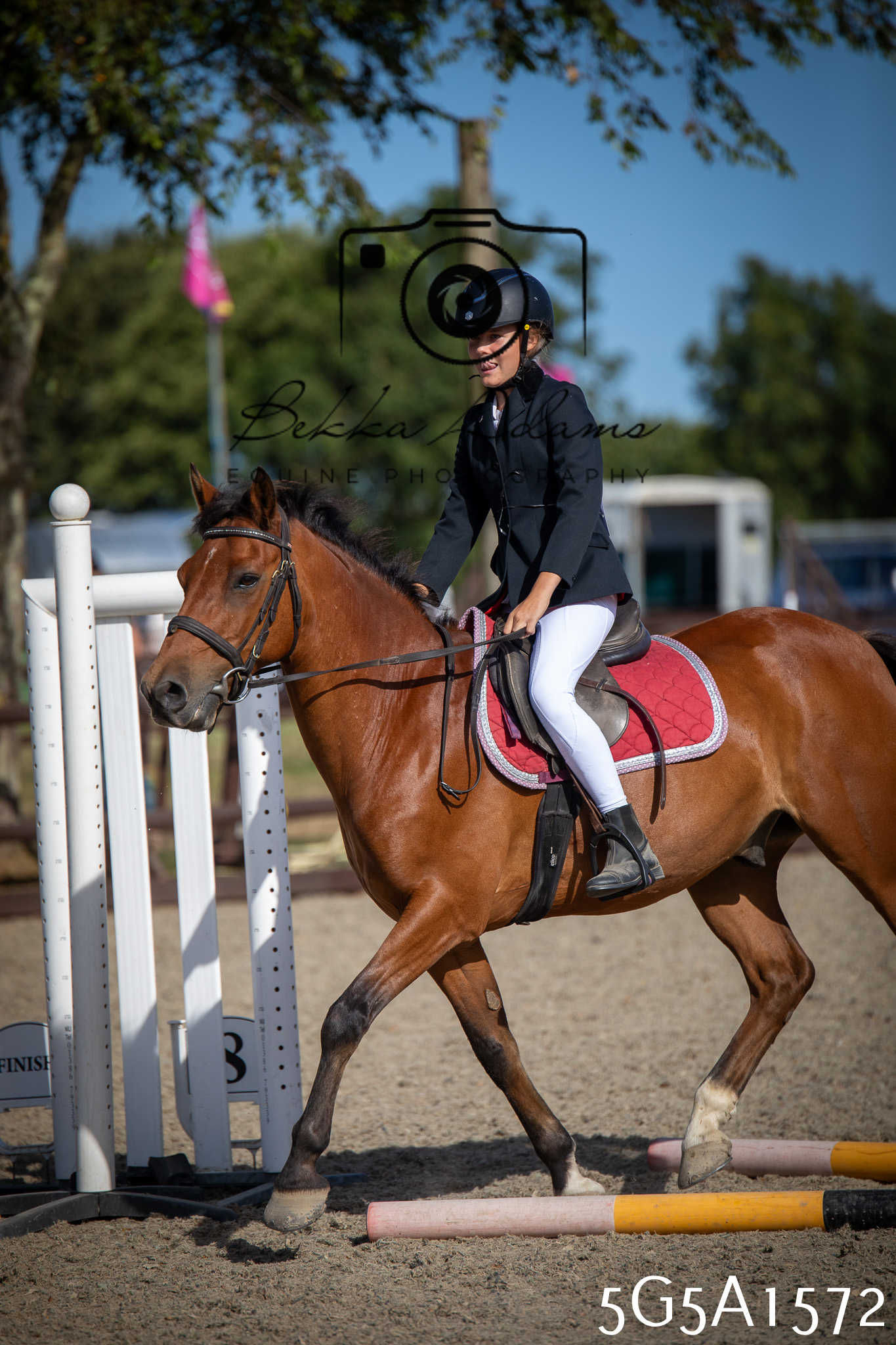 St Lawrence Charity Horse Show - Sunday pt1