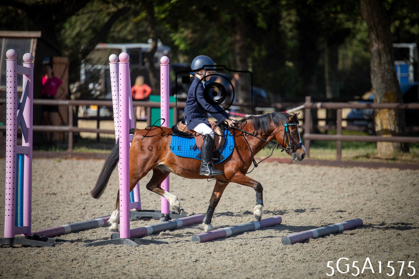 St Lawrence Charity Horse Show - Sunday pt1