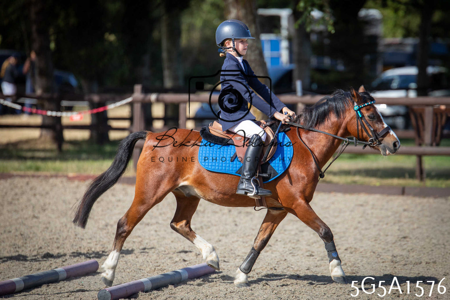 St Lawrence Charity Horse Show - Sunday pt1