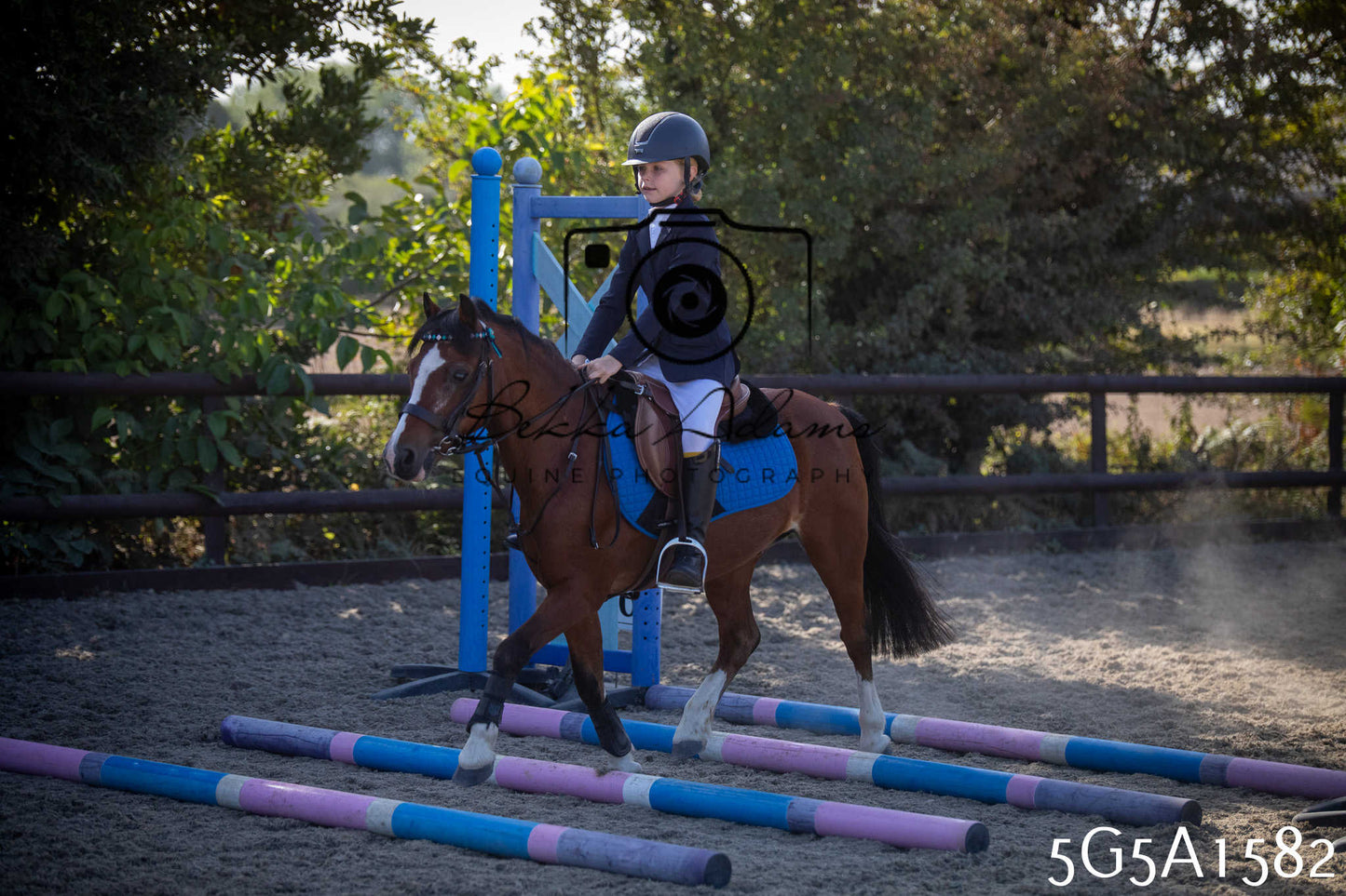 St Lawrence Charity Horse Show - Sunday pt1