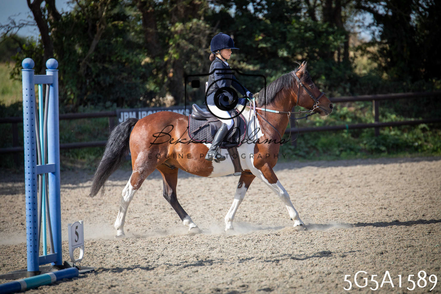 St Lawrence Charity Horse Show - Sunday pt1