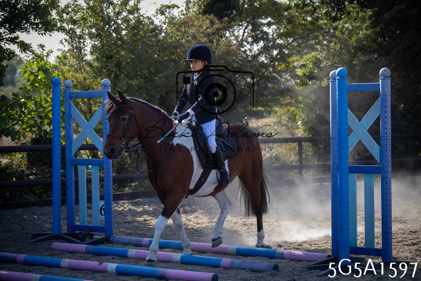 St Lawrence Charity Horse Show - Sunday pt1