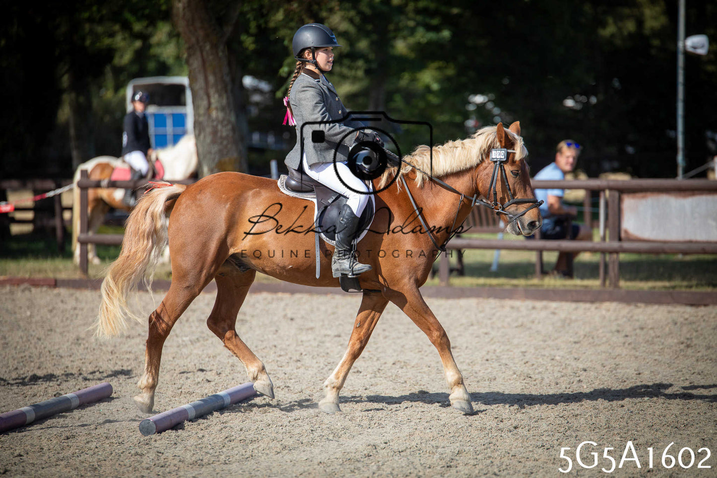 St Lawrence Charity Horse Show - Sunday pt1