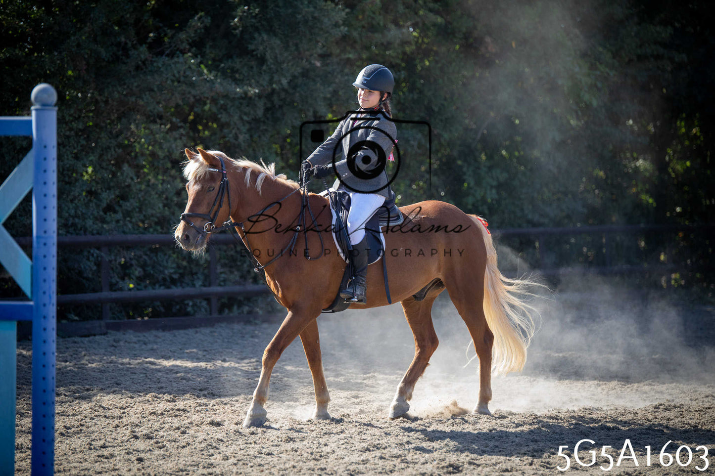 St Lawrence Charity Horse Show - Sunday pt1