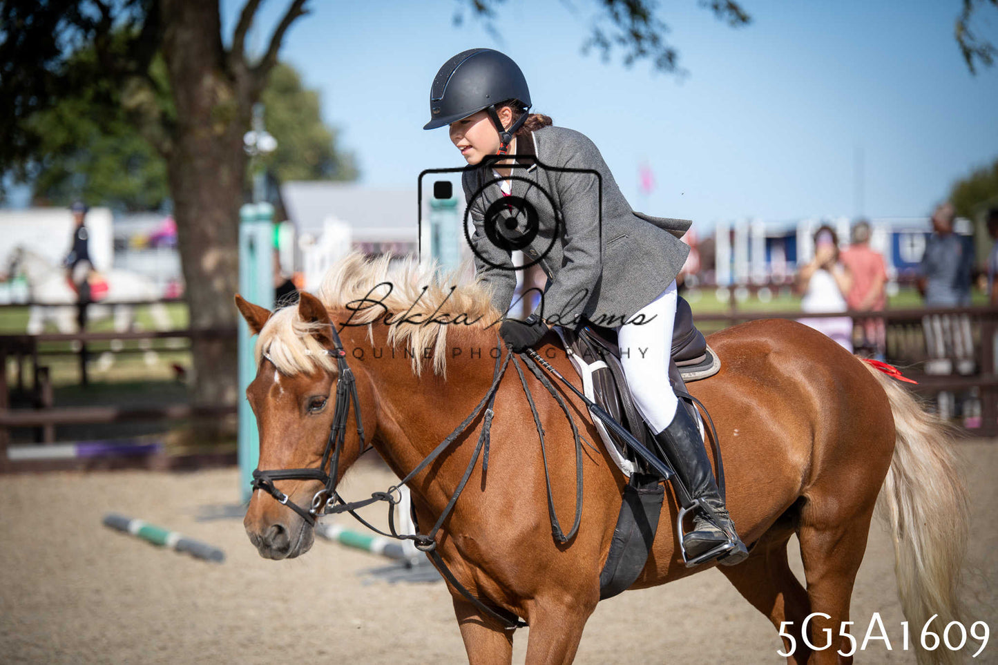 St Lawrence Charity Horse Show - Sunday pt1