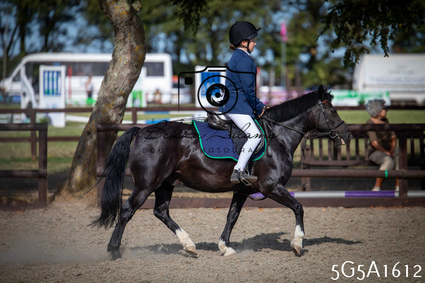St Lawrence Charity Horse Show - Sunday pt1