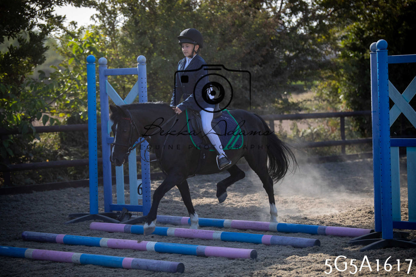 St Lawrence Charity Horse Show - Sunday pt1