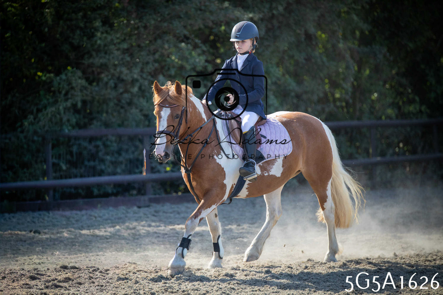 St Lawrence Charity Horse Show - Sunday pt1
