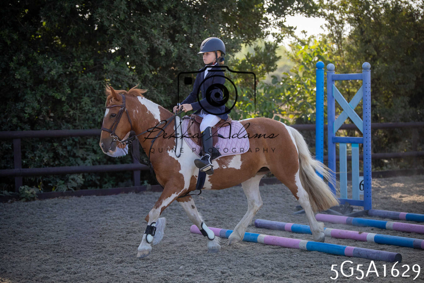 St Lawrence Charity Horse Show - Sunday pt1