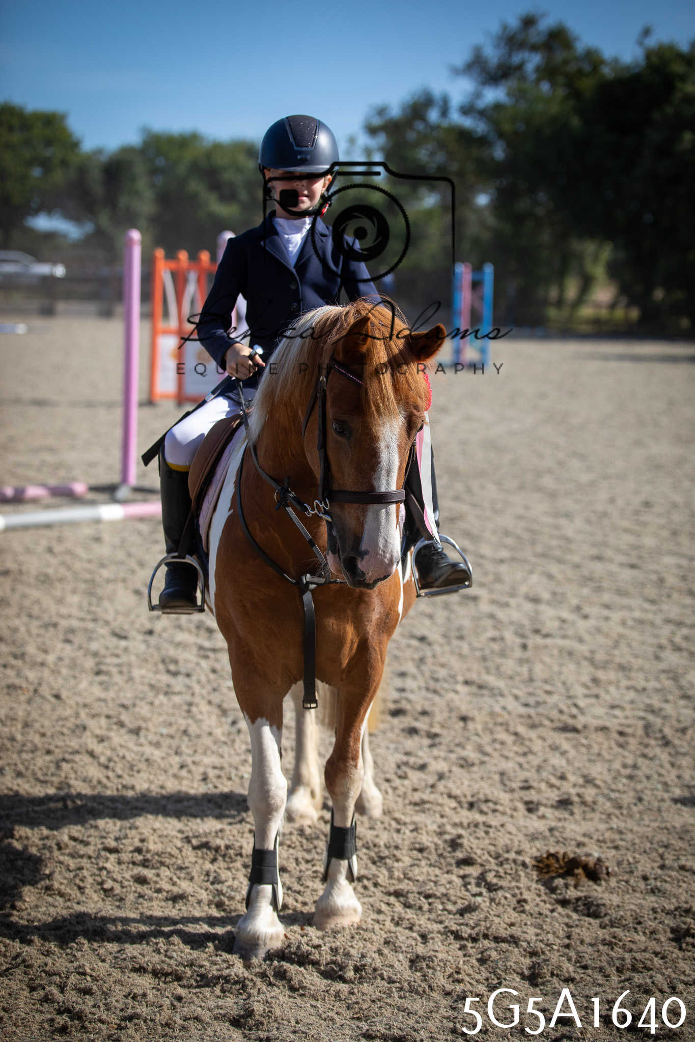 St Lawrence Charity Horse Show - Sunday pt1