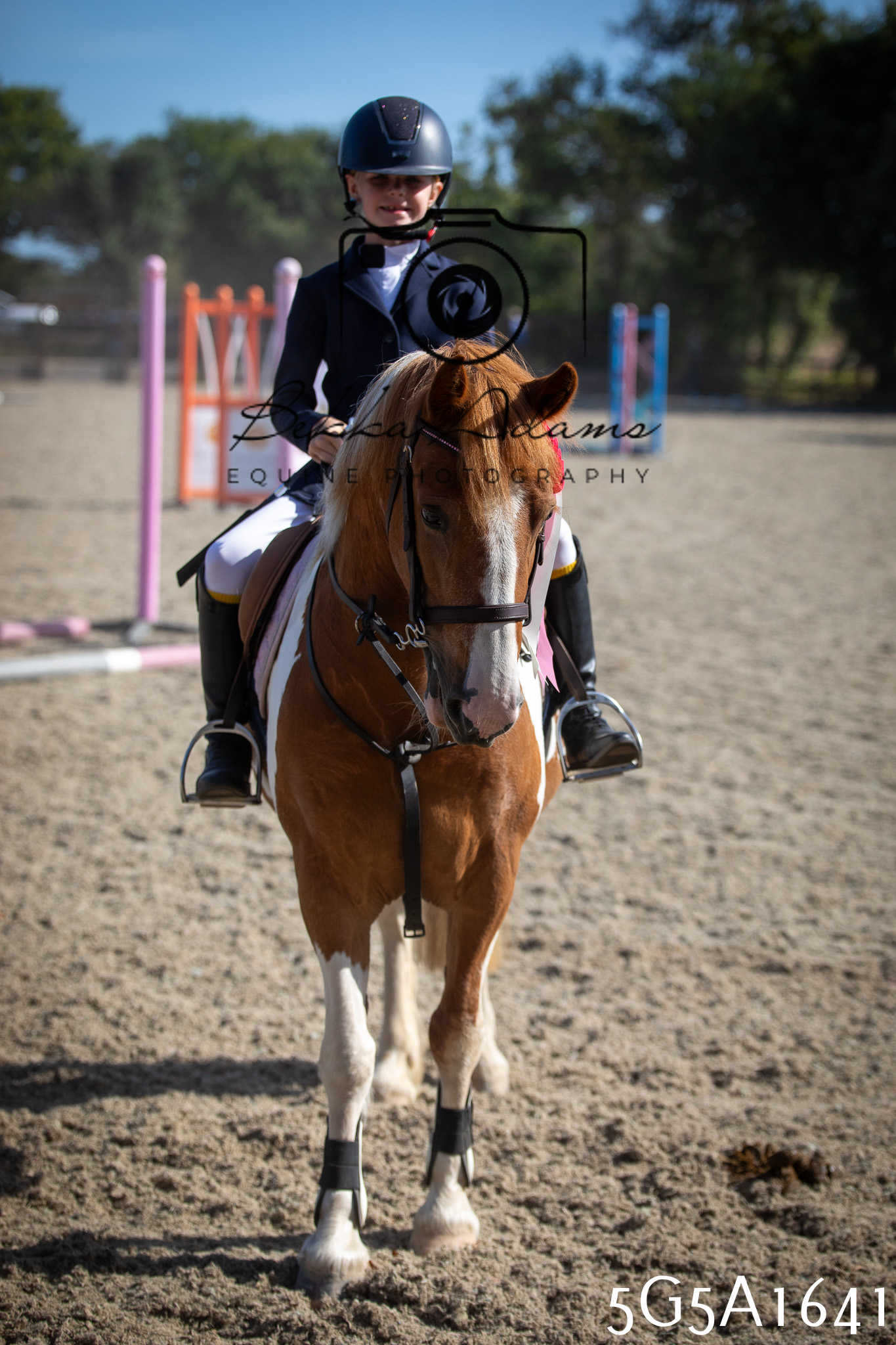 St Lawrence Charity Horse Show - Sunday pt1