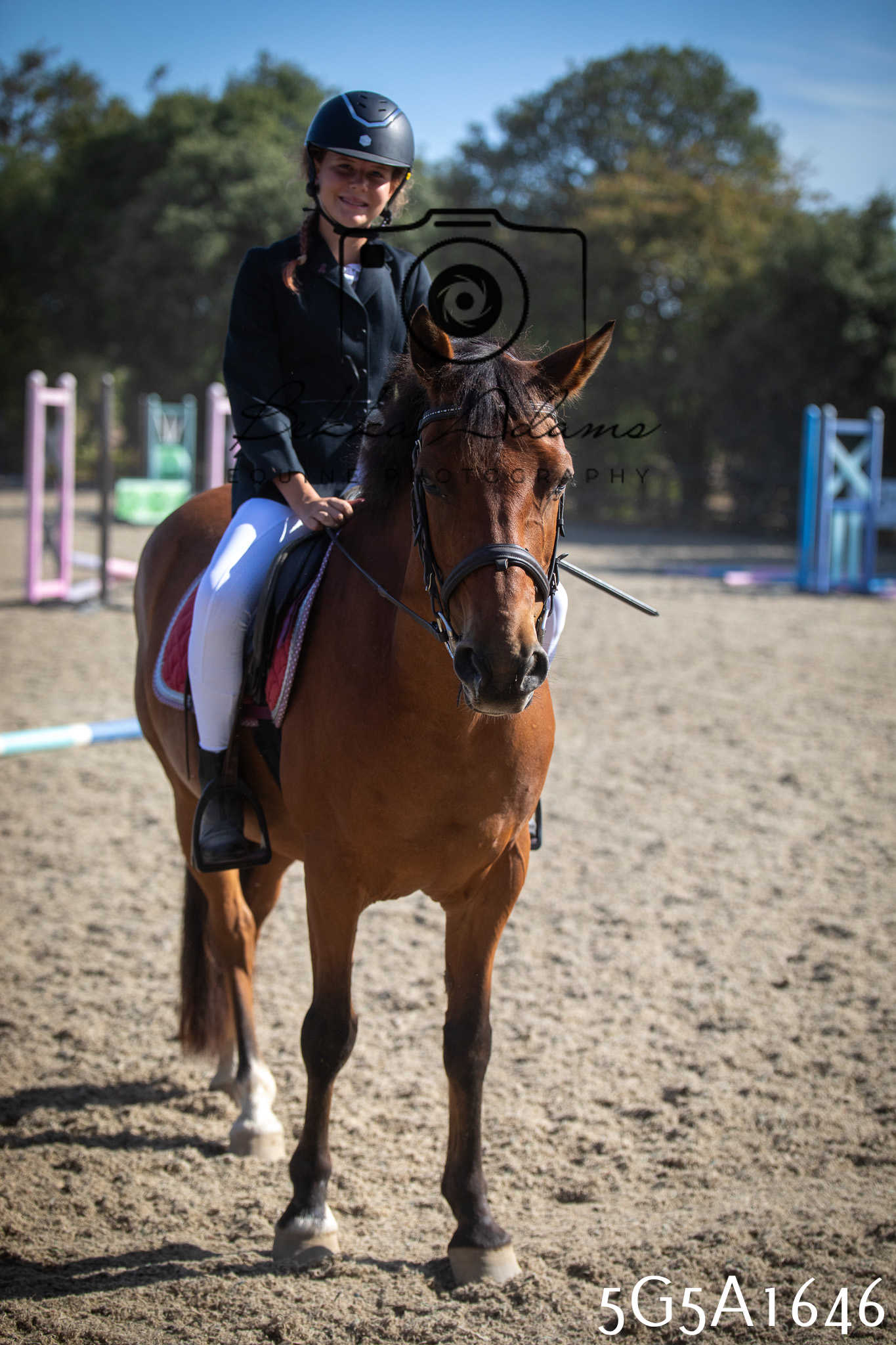 St Lawrence Charity Horse Show - Sunday pt1
