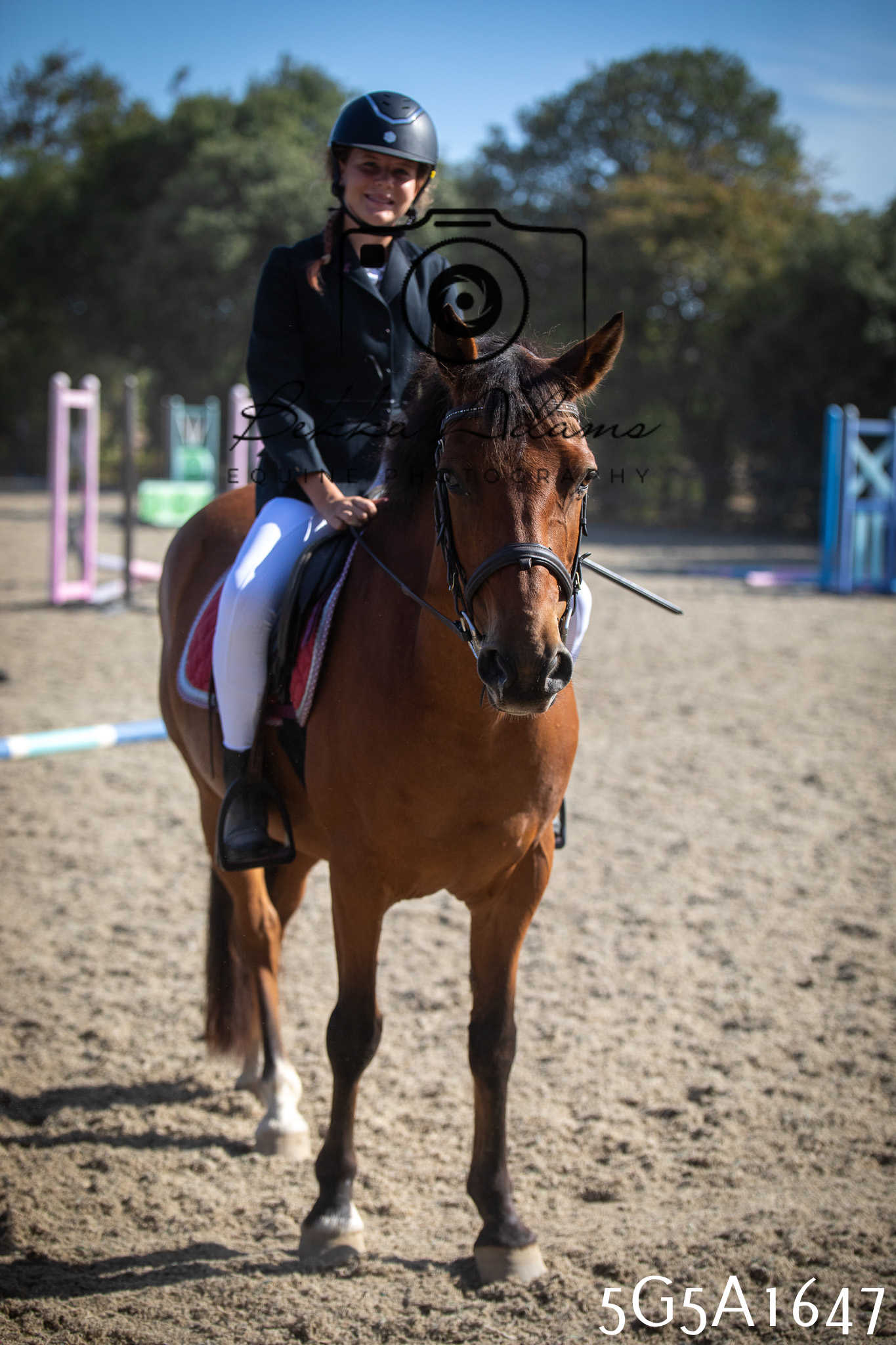 St Lawrence Charity Horse Show - Sunday pt1