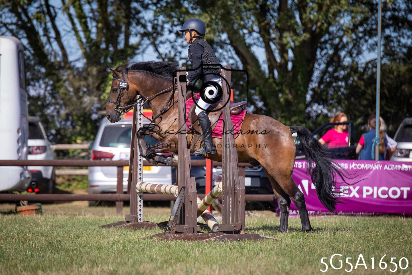 St Lawrence Charity Horse Show - Sunday pt1