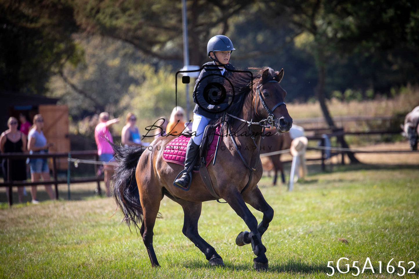 St Lawrence Charity Horse Show - Sunday pt1