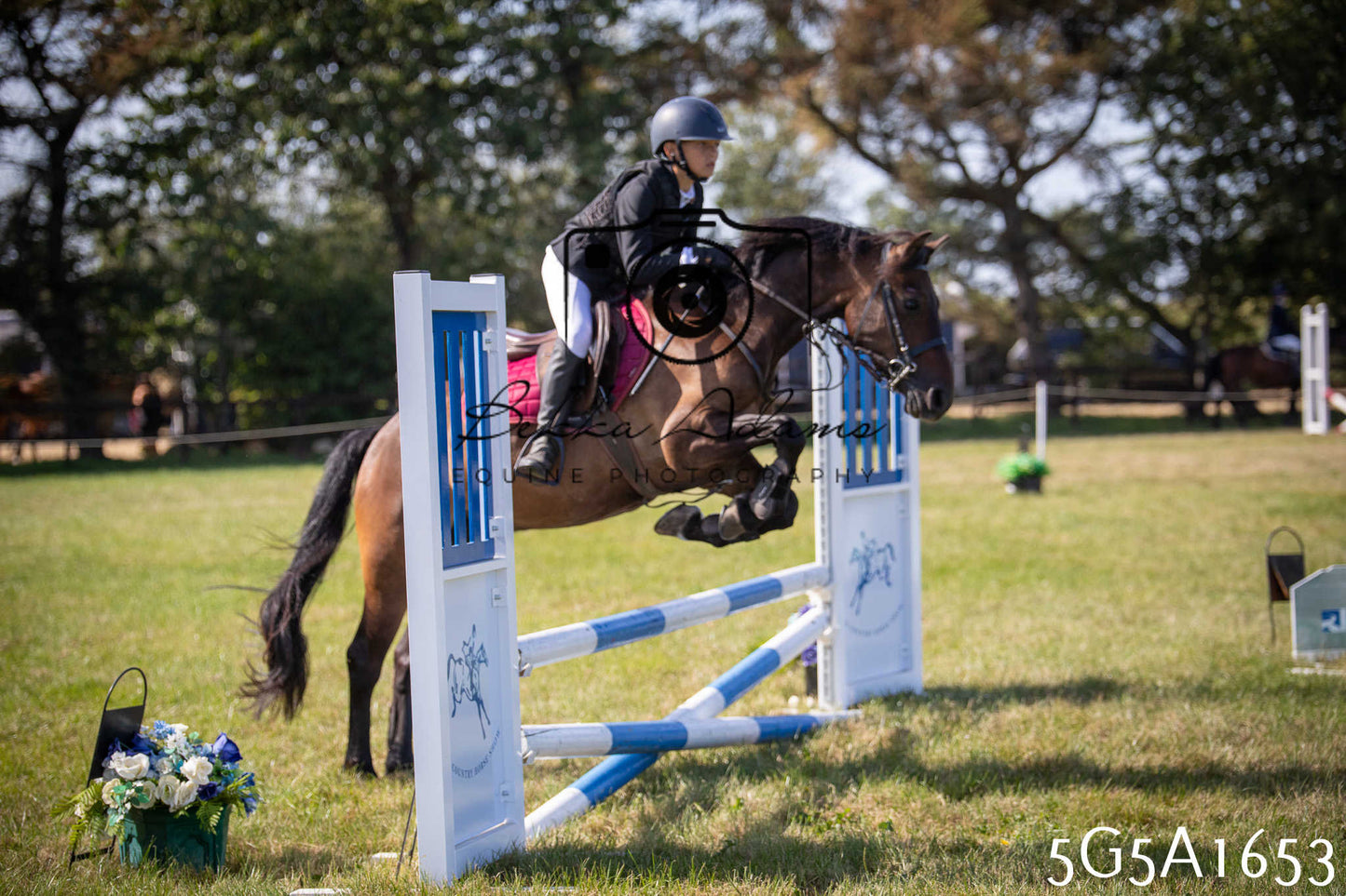 St Lawrence Charity Horse Show - Sunday pt1