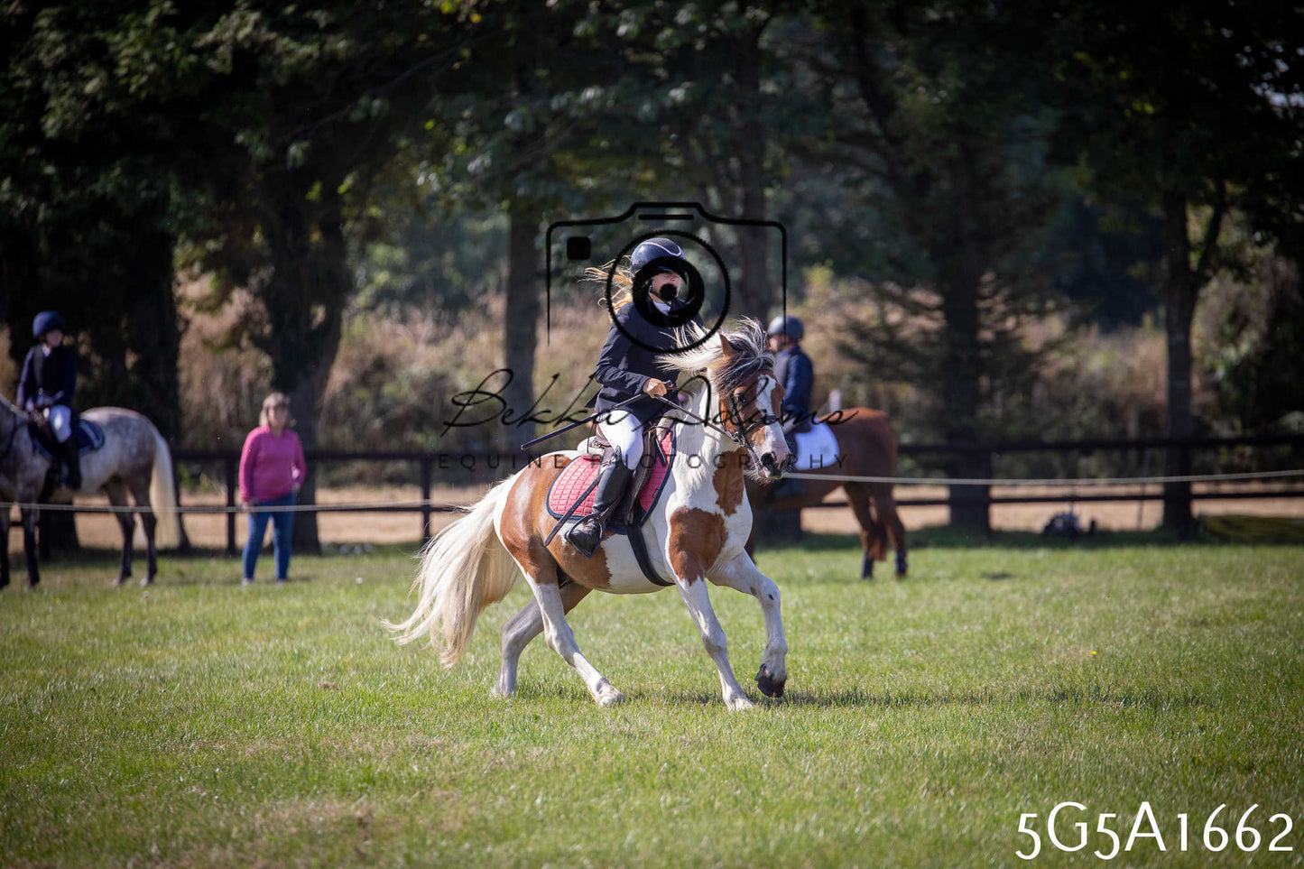 St Lawrence Charity Horse Show - Sunday pt1