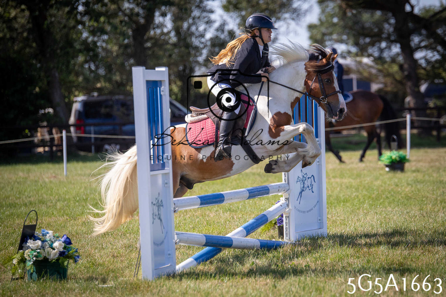 St Lawrence Charity Horse Show - Sunday pt1