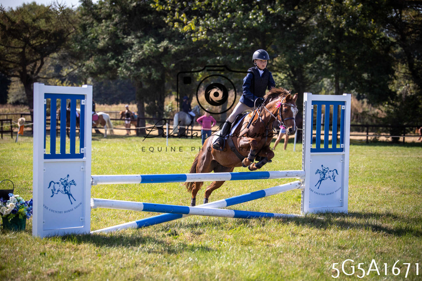 St Lawrence Charity Horse Show - Sunday pt1