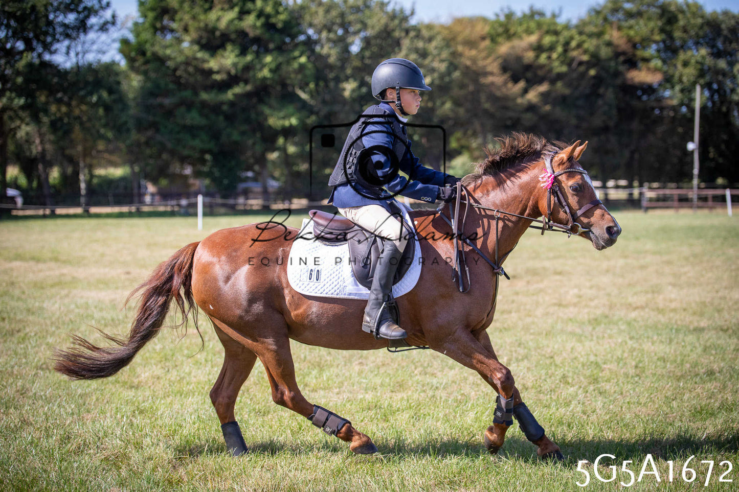 St Lawrence Charity Horse Show - Sunday pt1