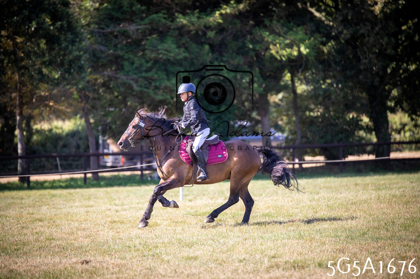 St Lawrence Charity Horse Show - Sunday pt1