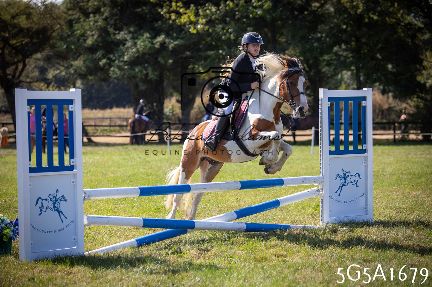 St Lawrence Charity Horse Show - Sunday pt1