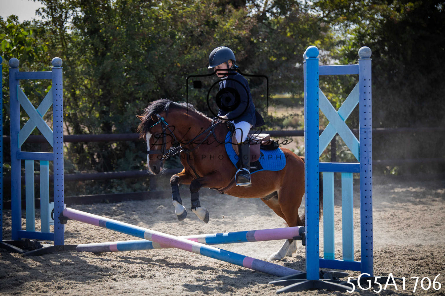 St Lawrence Charity Horse Show - Sunday pt1