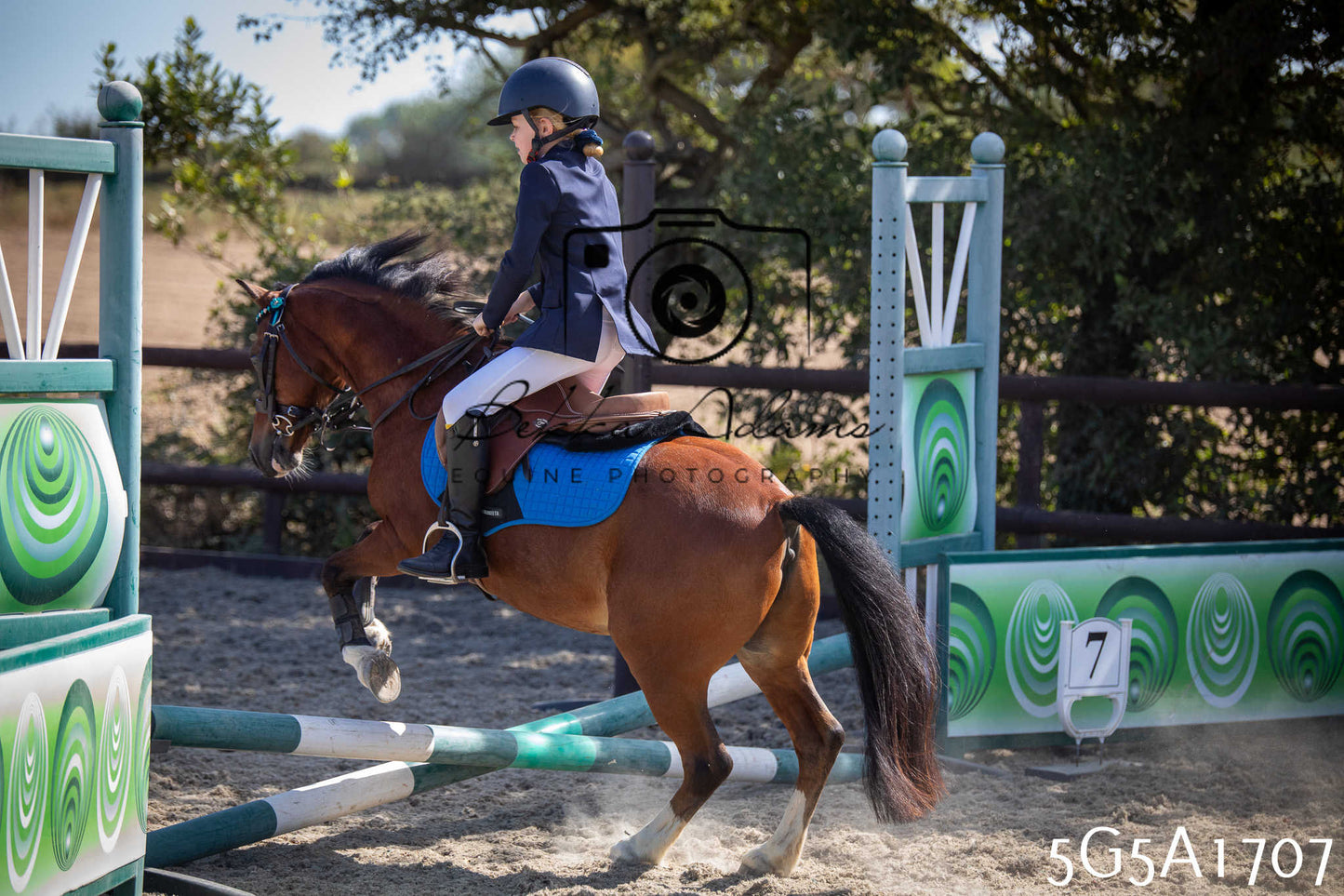 St Lawrence Charity Horse Show - Sunday pt1