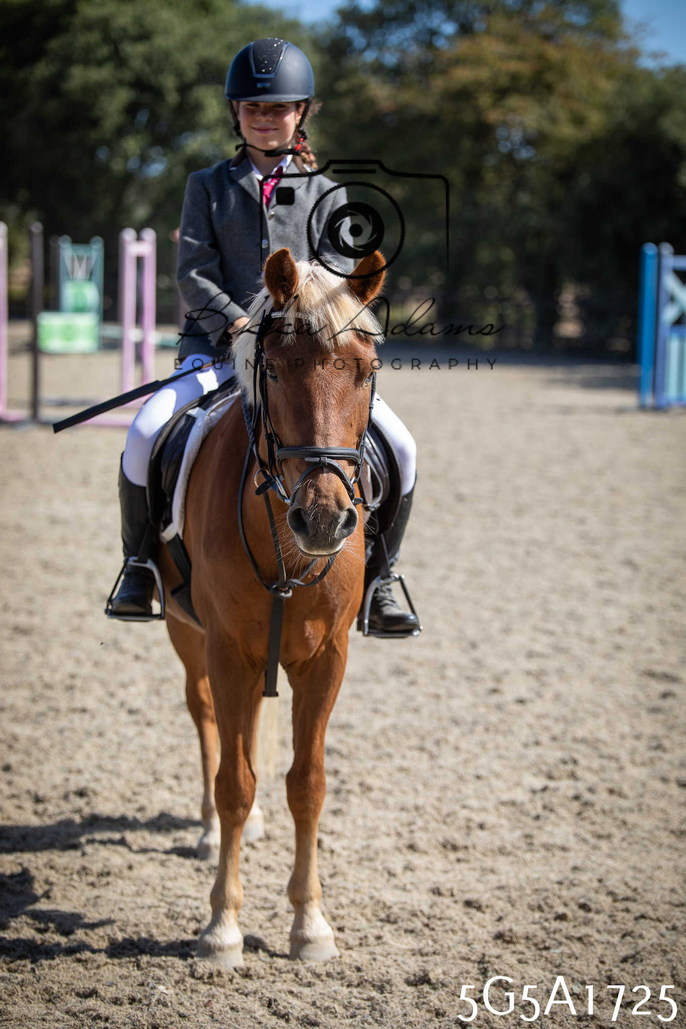 St Lawrence Charity Horse Show - Sunday pt1